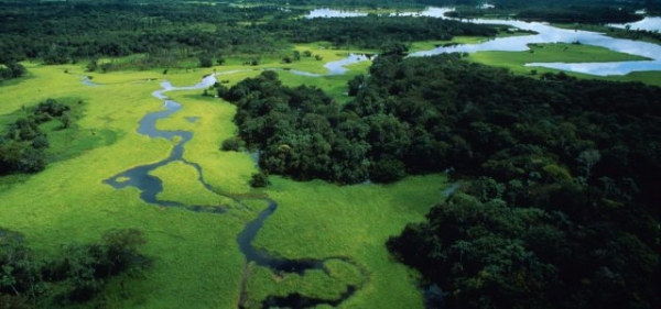 Tutela della biodiversità: impegno globale e sfide future