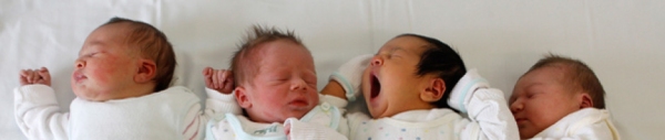 La farsa del Fertility Day