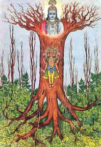 La mitologia dell’albero rovesciato tra Platone e l’India