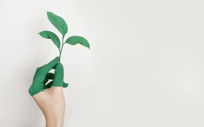 La “maledizione” del PIL e il greenwashing degli pseudo ecologisti