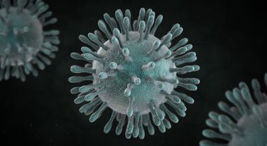 Sulle strategie da corona virus (prima parte)