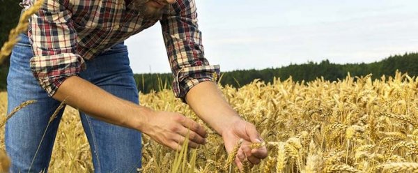 Il ritorno alla terra, opportunità per i giovani