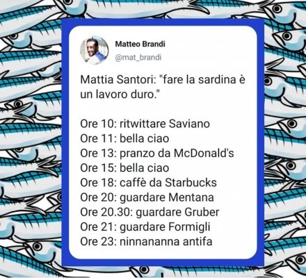 Il mimetismo delle sardine: epifenomeno radicale del pensiero debole