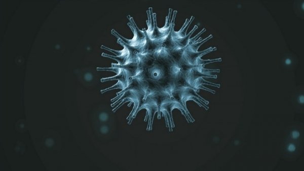 Fantasie sul coronavirus