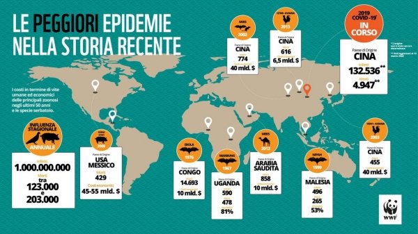 Quel legame strettissimo tra pandemie e perdita di natura