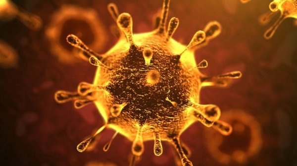 Comunicato stampa del coronavirus