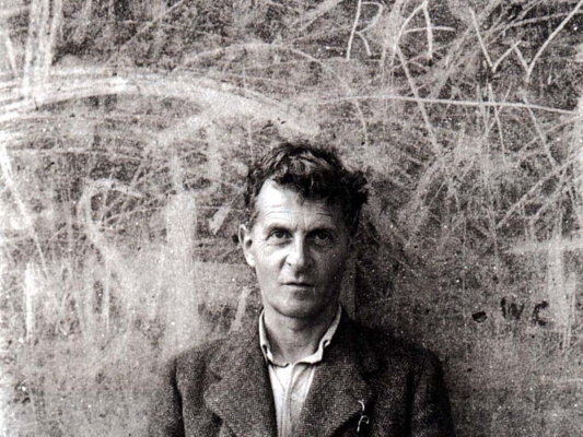 Wittgenstein, logica, nichilismo 