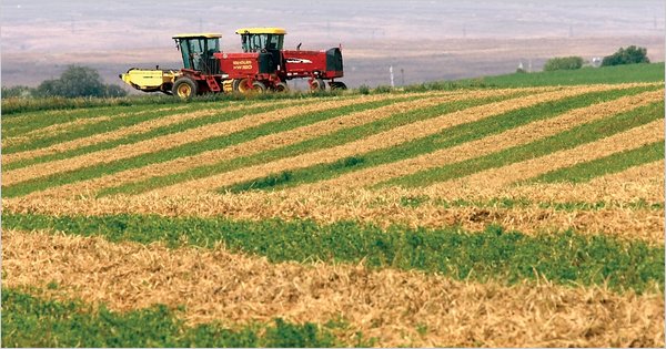 Fusione Bayer-Monsanto, un disastro da evitare per l’agricoltura mondiale