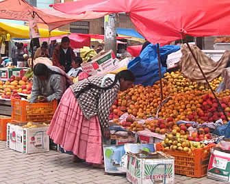 Fondamenti della politica ambientale in Ecuador e Bolivia