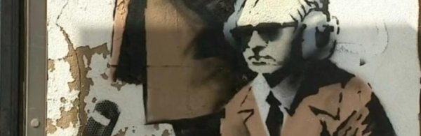 Da chi sono stati diffusi i documenti NATO e perché?