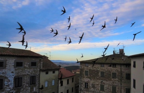 Le ideologie sono finite ma ancora ci tormentano