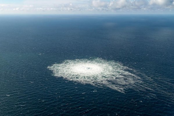 Forme delle immagini del mondo