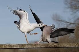 Ritrovare e assecondare la natura