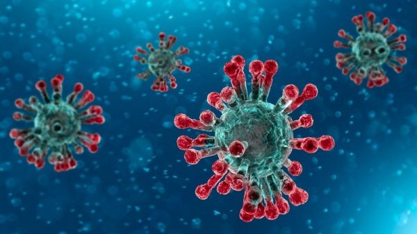 Qualche osservazione sparsa e da profano sugli ultimi eventi relativi al 'coronavirus'