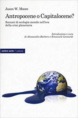 Ecologia politica