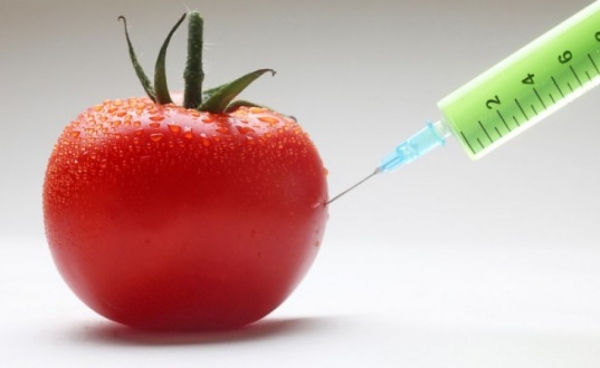 Facciamo dell'Italia un santuario della biodiversità incontaminato da OGM