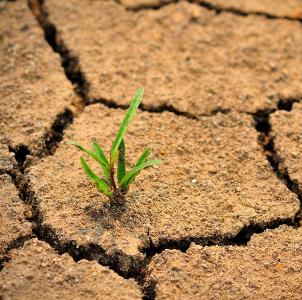 Cambiamenti climatici, “eventi estremi aumenteranno: così pregiudicata produzione agricola. Effetti maggiori in Africa e Asia”