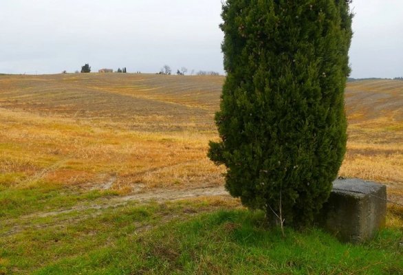 L'agricoltura industriale si ribella a sé stessa