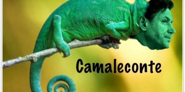 Camaleconte