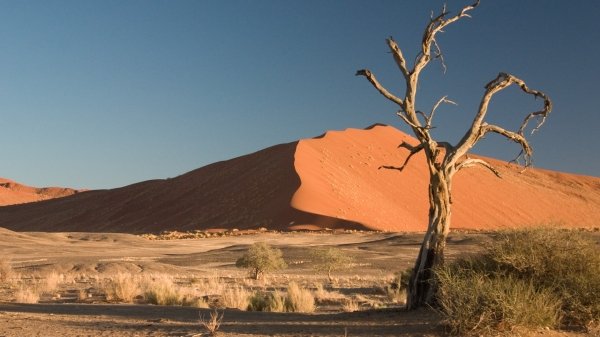 Il deserto che avanza