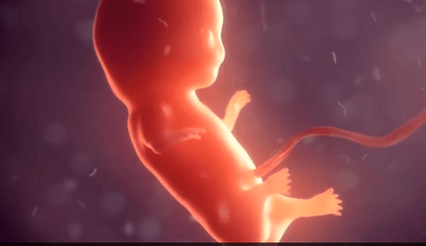 Pillola abortiva RU486: Il “passo avanti importante” di una presunta civiltà