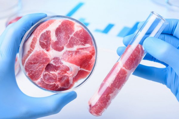 Ora la bistecca è di carne sintetica. É il progresso