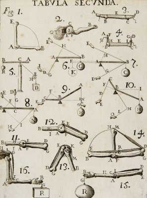 La matematizzazione del mondo ne ha eroso il senso