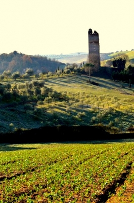 Paesaggio e Globalizzazione