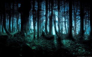 L’etica del ribelle