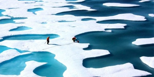 Campioni dell’informazione atlanticamente corretta