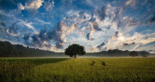 L’Italia ritorni alla sua vocazione agricola e artigianale