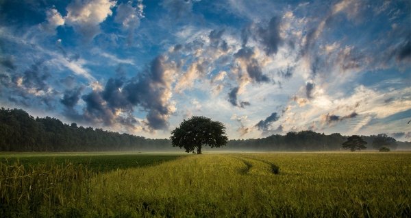 L’Italia ritorni alla sua vocazione agricola e artigianale