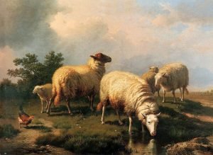 L’eredità della pecora