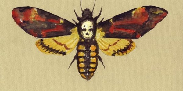 Insectageddon