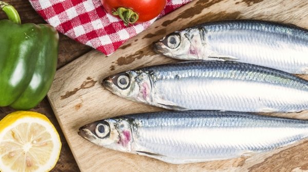 Elogio... funebre delle sardine