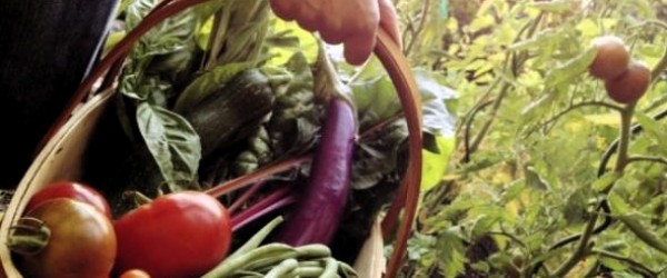 Si vive con meno di quanto si pensi