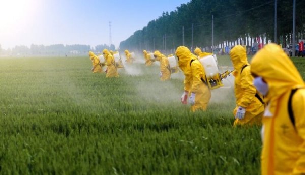 Imbevuti di pesticidi: la narrativa dell’inganno