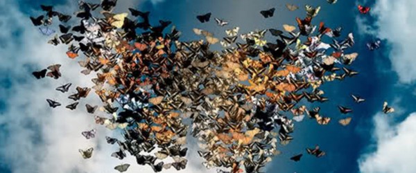 L’umanità ritrovata