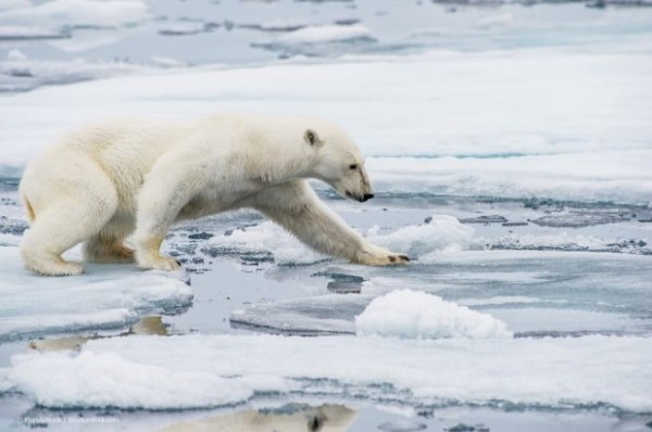 Riscaldamento globale, indifferenza totale: i dati sono catastrofici, ma in Italia non interessa a nessuno