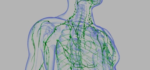 Il Sistema Linfatico è la porta dell’Energia nell’uomo