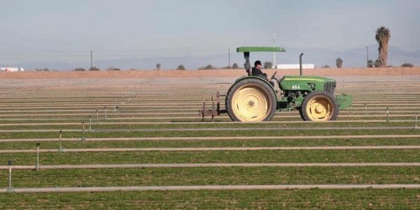 Dal pollo al pomodoro, ecco perché il cibo americano vi sarà nocivo