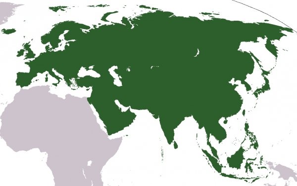 Eurasia, il diritto-dovere della geopolitica