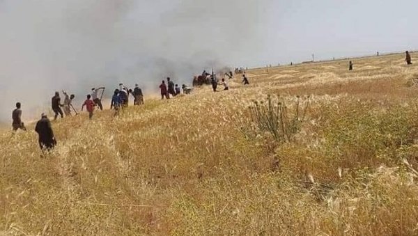 L’Isis brucia i campi di grano siriani e affama la popolazione di Idlib