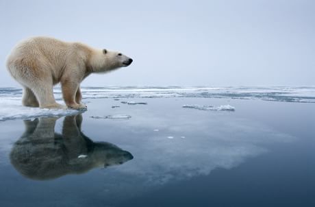 Riscaldamento globale, indifferenza totale: i dati sono catastrofici, ma in Italia non interessa a nessuno