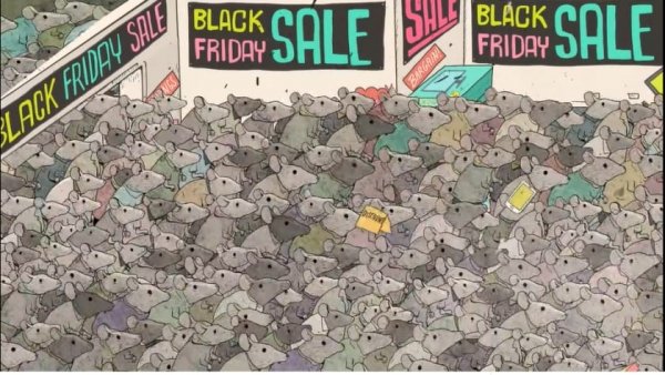 BlackFriday