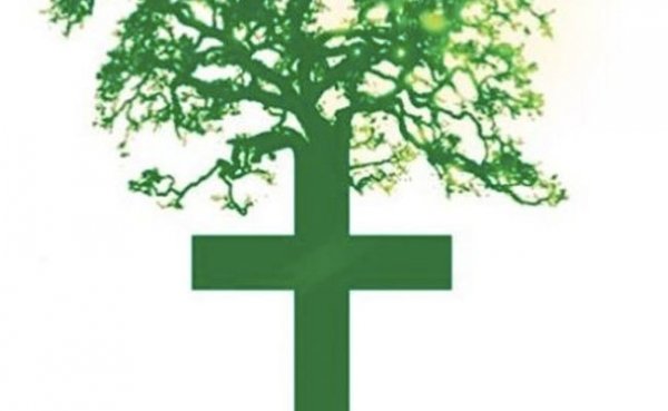 Ecologia Profonda e Chiesa Cattolica | Contrasti e punti in comune