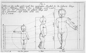 Dall’homo erectus agli Hobbit: l’evoluzione torna indietro