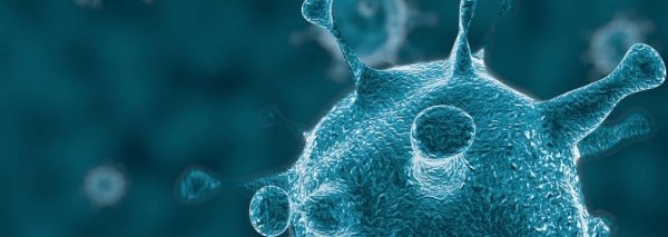 I misteri del covid, dieci domande senza risposta