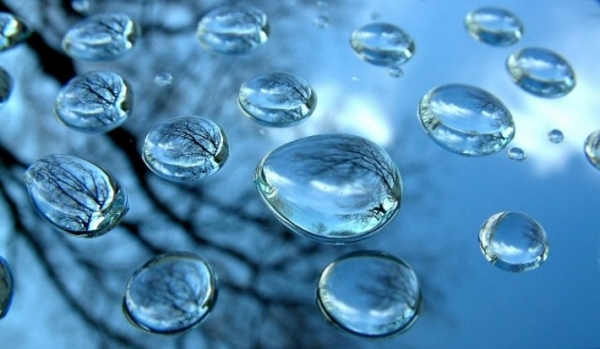 Politica dell’acqua e beni comuni. Chi calpesta la volontà popolare