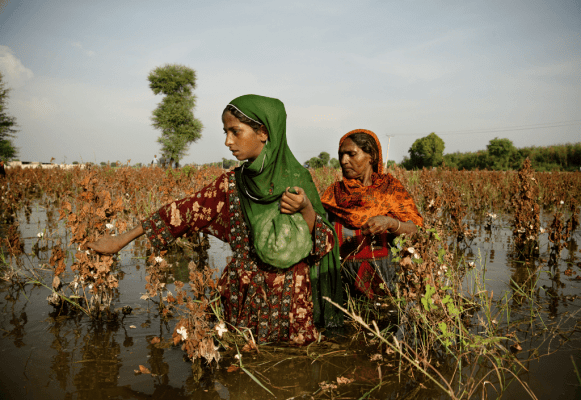 Papa Leone denuncia pratiche usurarie contro il Sud del mondo